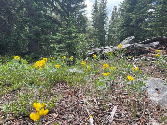 000 Hidden Wilderness Road, Evergreen, CO 80439