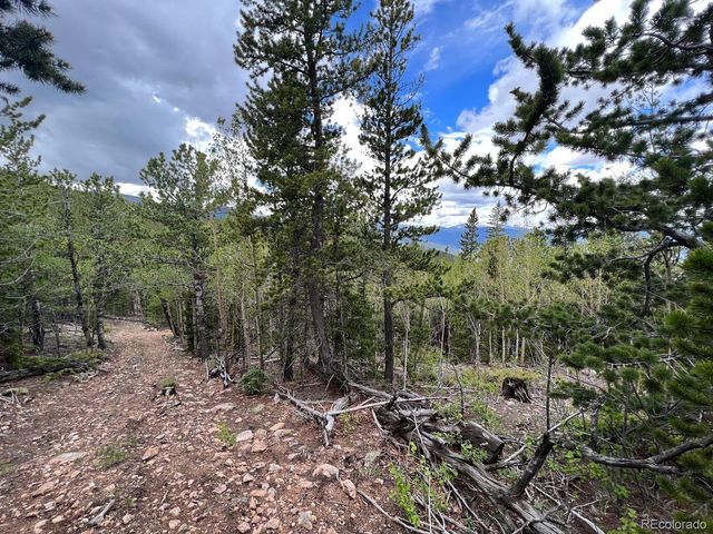000 Hidden Wilderness Road, Evergreen, CO 80439