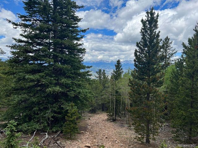 000 Hidden Wilderness Road, Evergreen, CO 80439