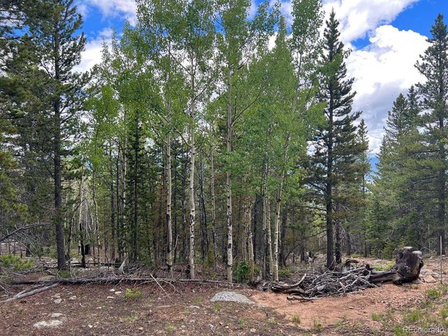 000 Hidden Wilderness Road, Evergreen, CO 80439