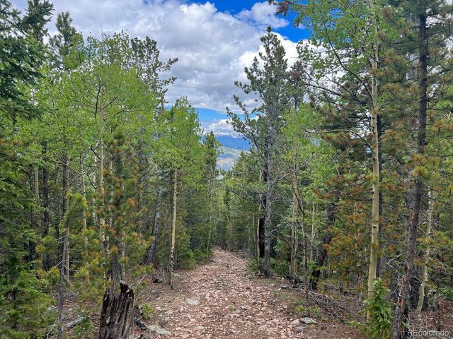 000 Hidden Wilderness Road, Evergreen, CO 80439