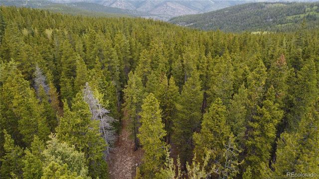 000 Hidden Wilderness Road, Evergreen, CO 80439
