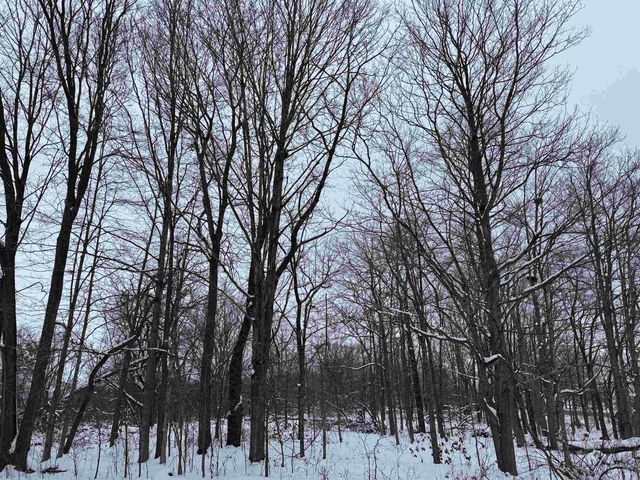 6644 W State Road 81, Beloit, WI 53511