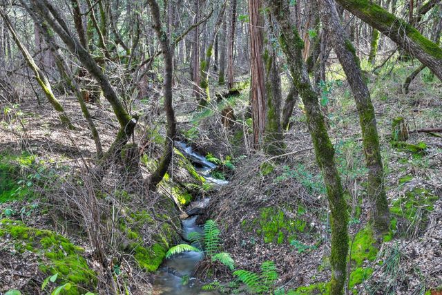 7277 Red Ant Rd, Somerset, CA 95684