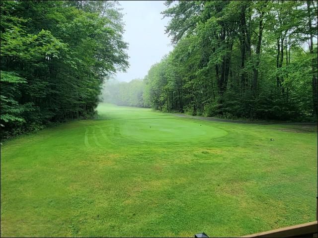 2100 W Schuss Mountain Drive, Custer Twp, MI 49615