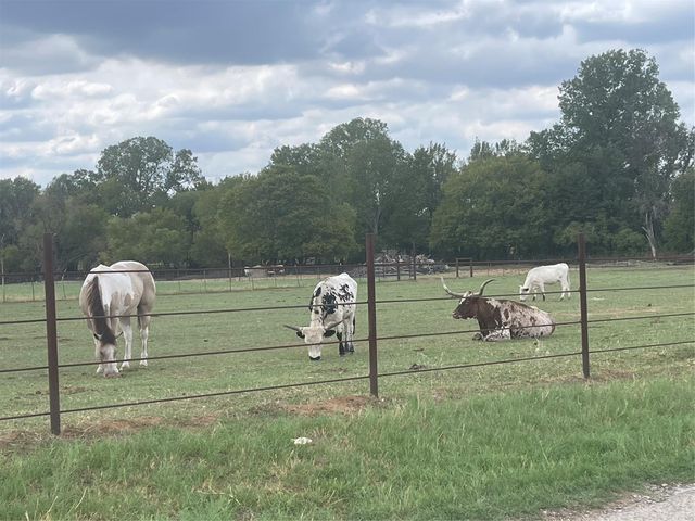 2160 County Road 4371, Decatur, TX 76234