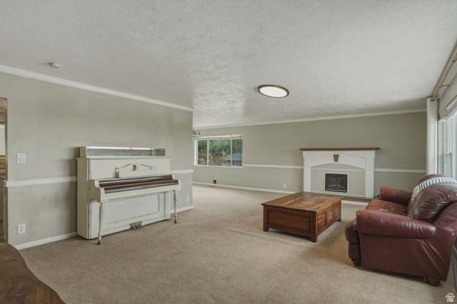 500 N 800 CIR, Springville, UT 84663