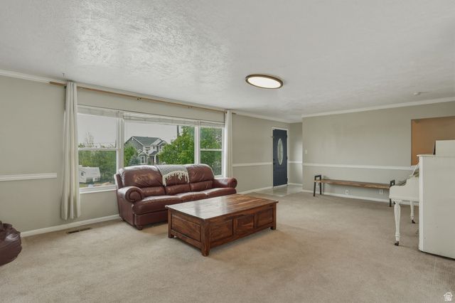 500 N 800 CIR, Springville, UT 84663