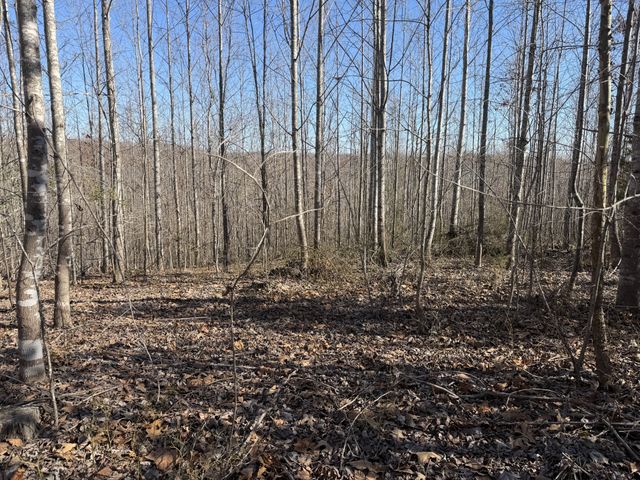 240 Golden View Ln, Hampshire, TN 38461