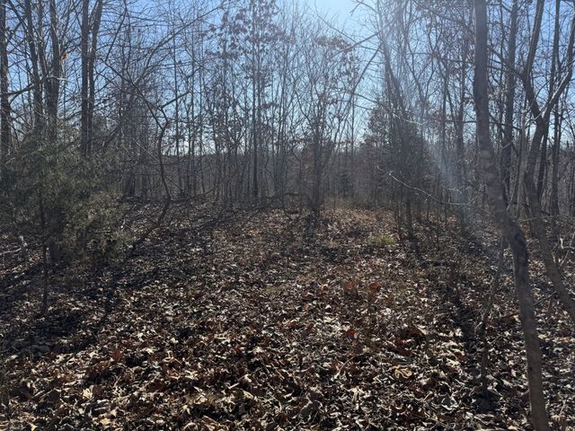 240 Golden View Ln, Hampshire, TN 38461
