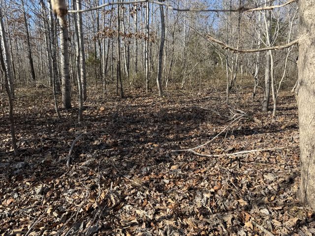 240 Golden View Ln, Hampshire, TN 38461