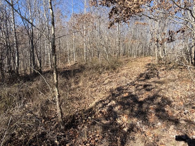 240 Golden View Ln, Hampshire, TN 38461