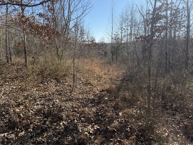 240 Golden View Ln, Hampshire, TN 38461