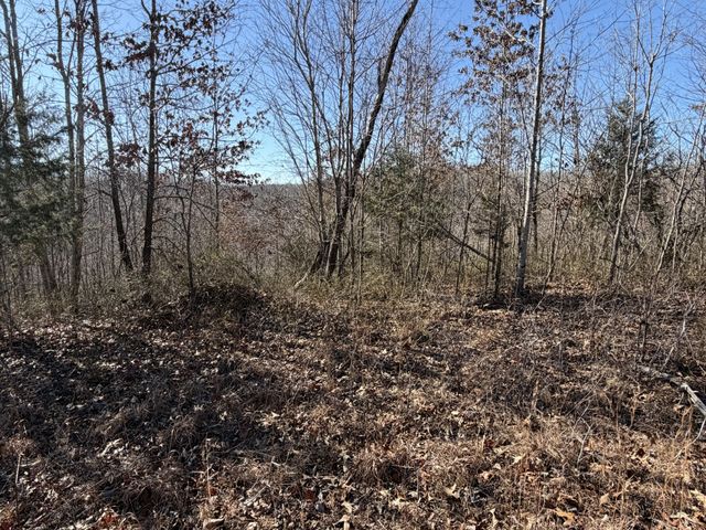 240 Golden View Ln, Hampshire, TN 38461