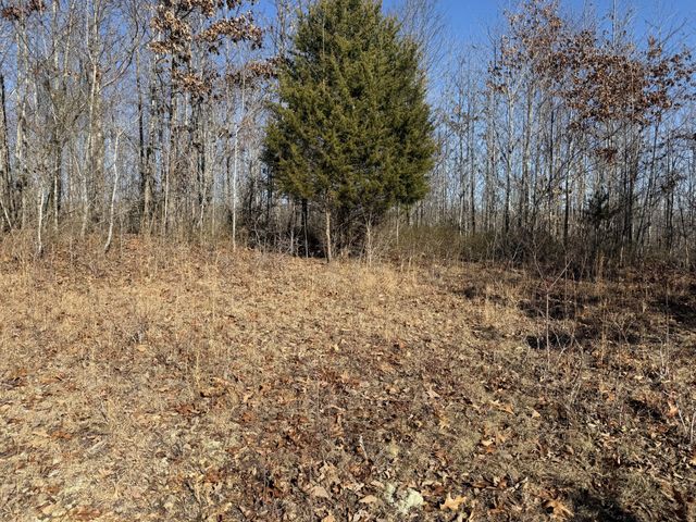 240 Golden View Ln, Hampshire, TN 38461