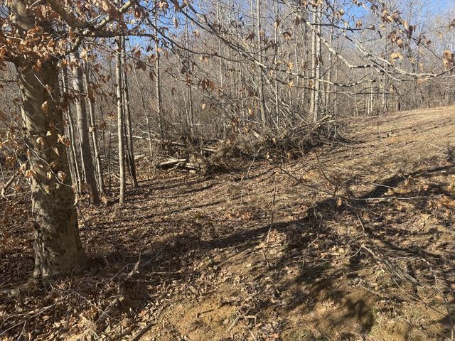 240 Golden View Ln, Hampshire, TN 38461