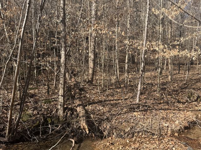 240 Golden View Ln, Hampshire, TN 38461