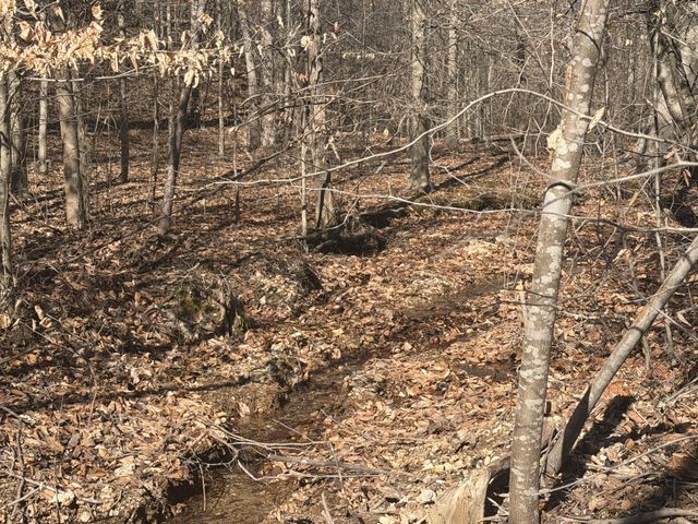 240 Golden View Ln, Hampshire, TN 38461