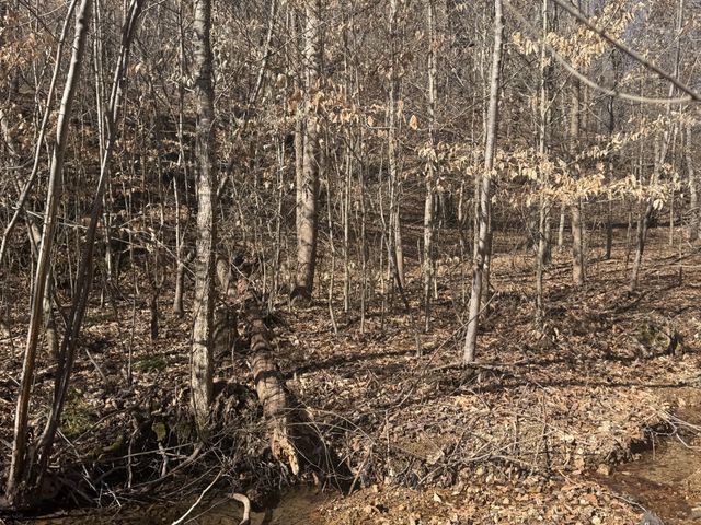 240 Golden View Ln, Hampshire, TN 38461