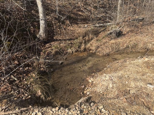 240 Golden View Ln, Hampshire, TN 38461