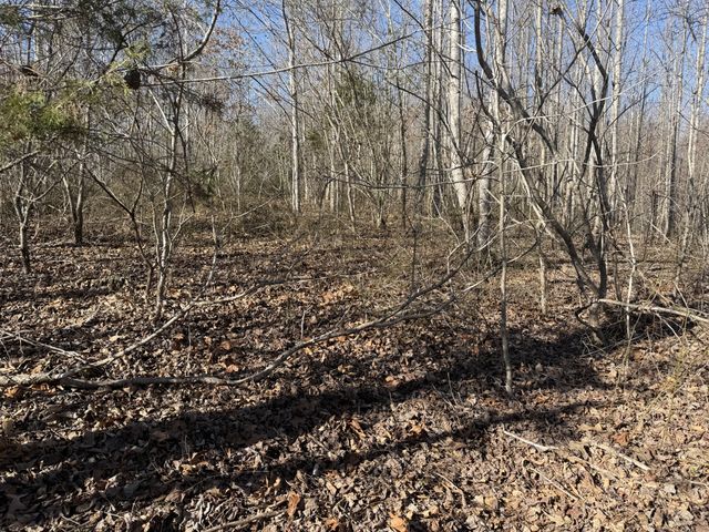 240 Golden View Ln, Hampshire, TN 38461