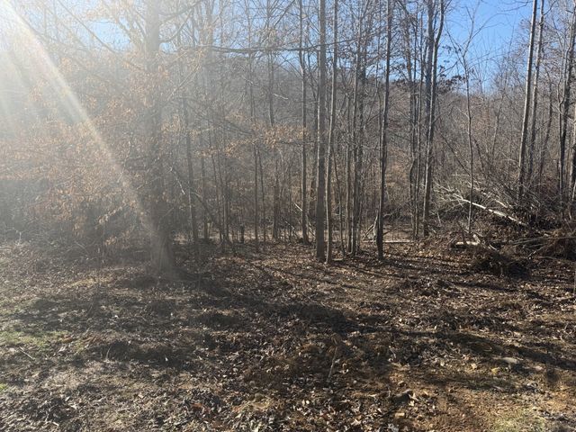 240 Golden View Ln, Hampshire, TN 38461