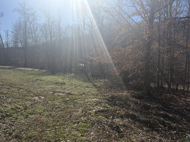 240 Golden View Ln, Hampshire, TN 38461