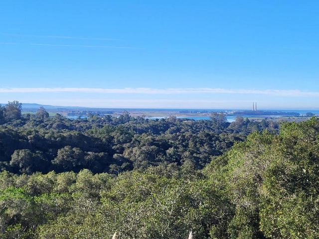 14643 Tumble Weed Lane, Royal Oaks, CA 95076