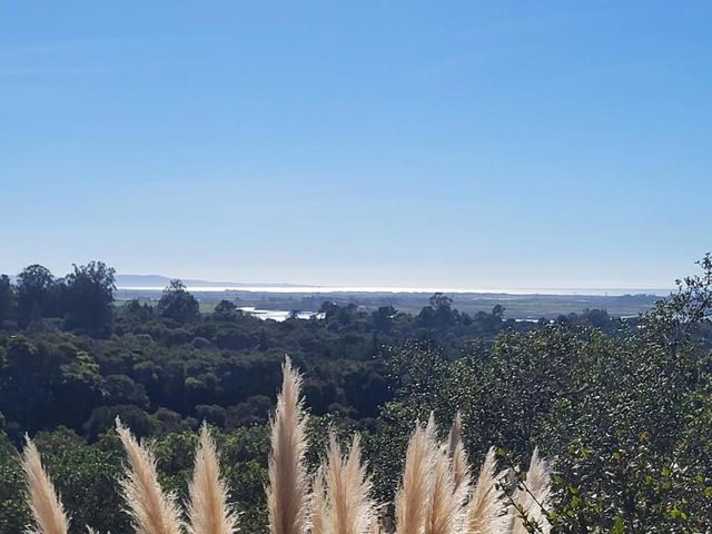 14643 Tumble Weed Lane, Royal Oaks, CA 95076