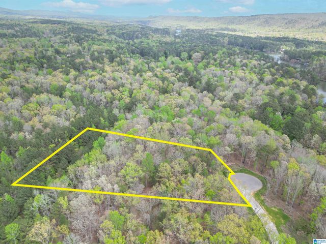 779 CAVALIER RIDGE, Birmingham, AL 35242
