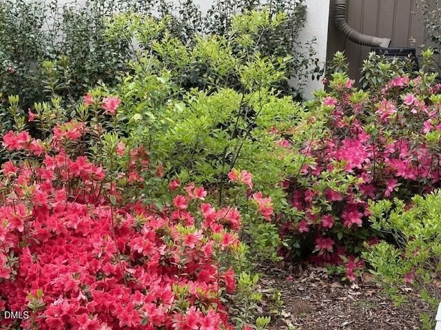 4 Wellesley Place, Chapel Hill, NC 27517