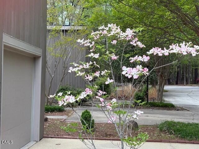 4 Wellesley Place, Chapel Hill, NC 27517