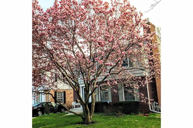 6041 N Santa Monica BOULEVARD, Whitefish Bay, WI 53217
