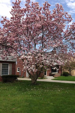 6041 N Santa Monica BOULEVARD, Whitefish Bay, WI 53217