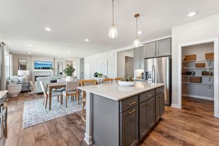 1709 Oak Creek Pass, Chaska, MN 55318