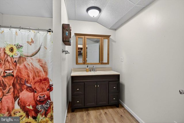 8570 S MIDDLE RD, Mount Jackson, VA 22842