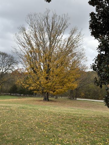 3138 Richmond Rd, Petersburg, TN 37144