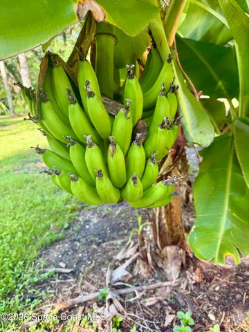 111 Seagrape Road, Melbourne Beach, FL 32951