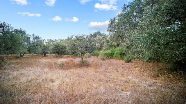 TBD WILD WING PRESERVE, Columbus, TX 78640