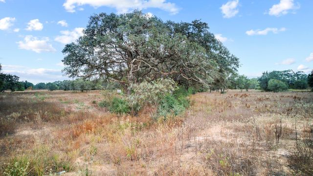 TBD WILD WING PRESERVE, Columbus, TX 78640