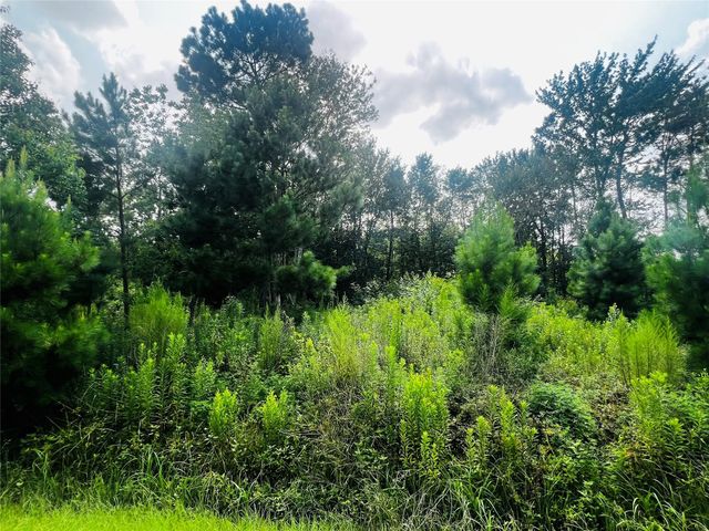 412 County Road 3411, Cleveland, TX 77327