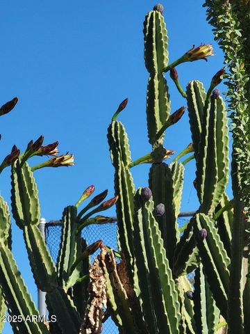 800 E MISSISSIPPI Street, Florence, AZ 85132