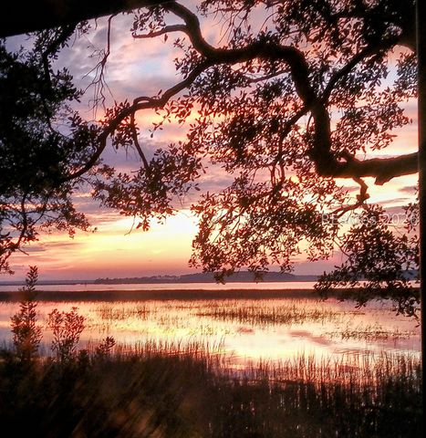 2 William Hilton Pkwy Apt 301, Hilton Head Island, SC 29926