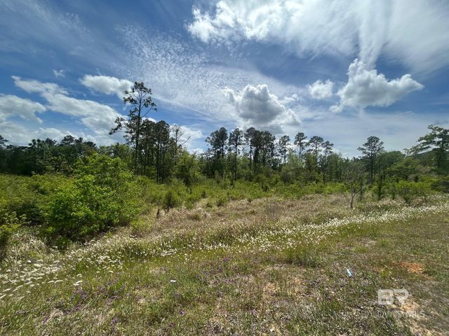 0 Hampton Road, Mobile, AL 36608