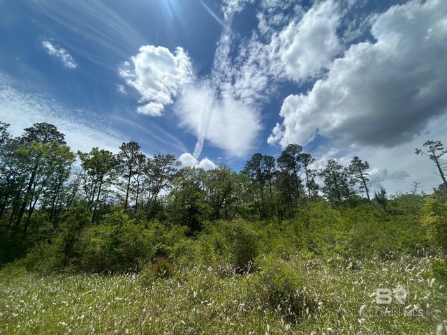 0 Hampton Road, Mobile, AL 36608