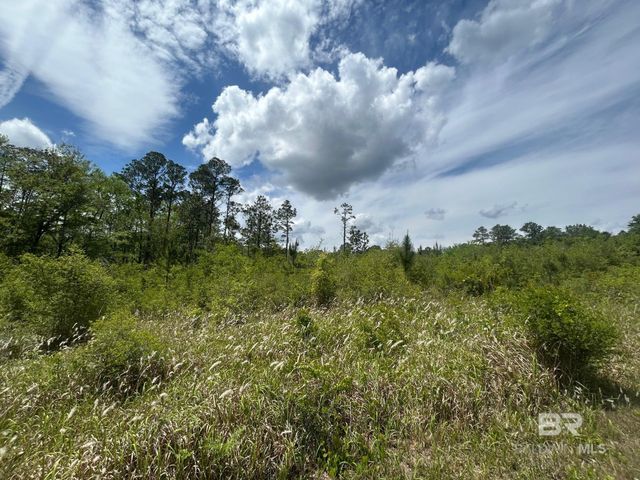 0 Hampton Road, Mobile, AL 36608