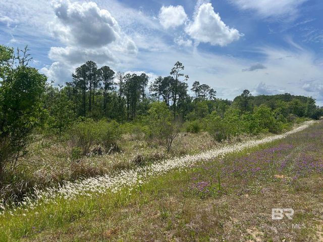 0 Hampton Road, Mobile, AL 36608