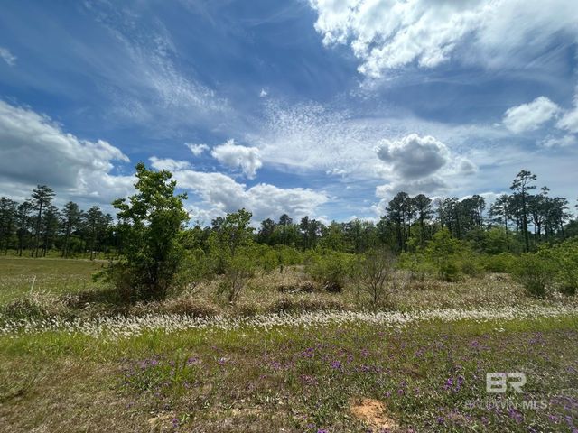 0 Hampton Road, Mobile, AL 36608