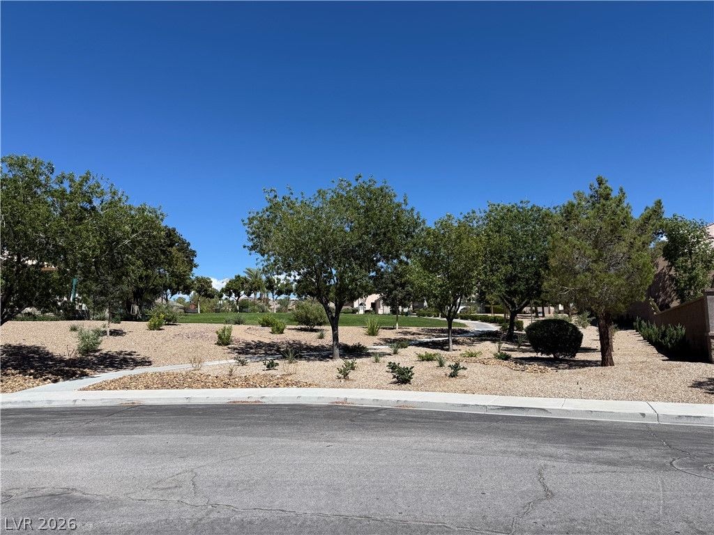 2482 Denholme Street, Henderson, NV 89044 — photo 2