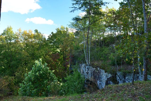 1136 Parkstown Ext, Wilder, TN 38589